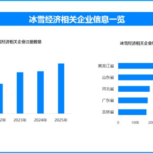 必一运动官方app-城市滑雪场“零门槛”，谁在运营？