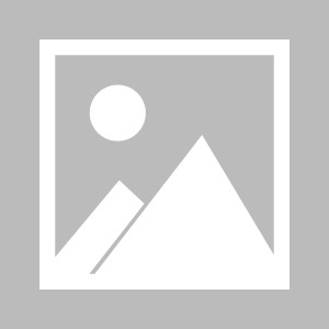 必一运动官方app-纽卡送大礼无力还击 曼城4球大胜收获圣诞冠军